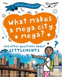 A Question of Geography: What Makes a Mega City Mega? (ISBN: 9781526326638)