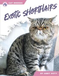 Exotic Shorthairs (ISBN: 9798892503488)