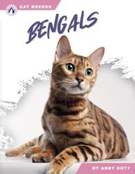 Bengals (ISBN: 9798892503457)