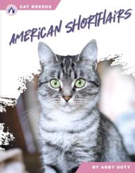 American Shorthairs (ISBN: 9798892503440)