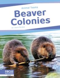 Beaver Colonies (ISBN: 9798889982456)