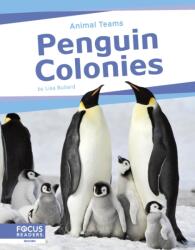 Penguin Colonies (ISBN: 9798889981930)