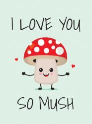 I Love You So Mush (ISBN: 9781837994472)