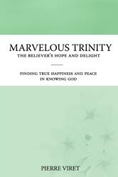 Marvelous Trinity, the Believer's Hope and Delight (ISBN: 9798612494850)