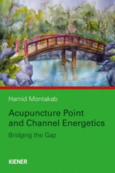 Acupuncture Point and Channel Energetics - Hamid Montakab (2014)