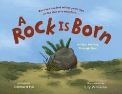 A Rock Is Born (ISBN: 9781250749925)