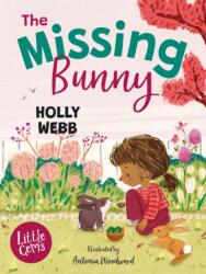 The Missing Bunny (ISBN: 9781800902411)