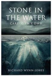 Stone In The Water (ISBN: 9781839527777)