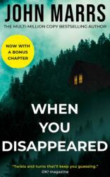 When You Disappeared (ISBN: 9781662533327)