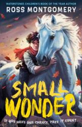 Small Wonder (ISBN: 9781529526127)