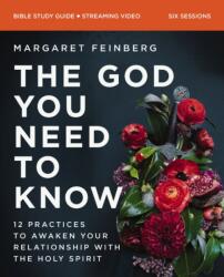 The God You Need to Know Study Guide plus Streaming Video (ISBN: 9780310131229)