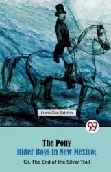 The Pony Rider Boys in New Mexico (ISBN: 9789357484183)