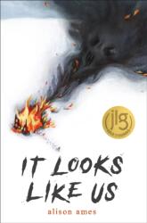 It Looks Like Us (ISBN: 9781645676188)