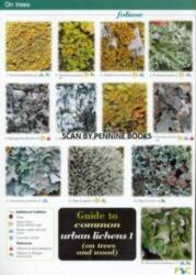 Guide to Common Urban Lichens (ISBN: 9781851532940)