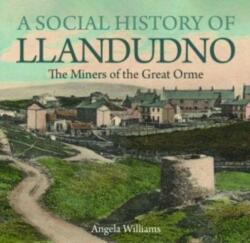 A Social History of Llandudno (ISBN: 9781845246389)