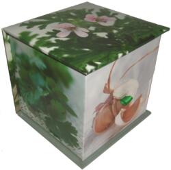 Memo Block: Herbs (ISBN: 9780754820369)