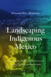 Landscaping Indigenous Mexico (ISBN: 9781477330999)