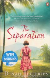 The Separation (ISBN: 9780241966051)