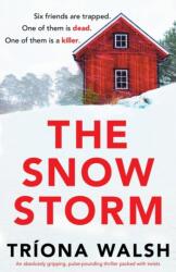 Snowstorm (ISBN: 9781803148502)