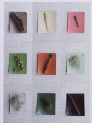 Late Spring (ISBN: 9789490800239)