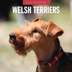 Welsh Terriers 2025 Square Wall Calendar (ISBN: 9781804425213)