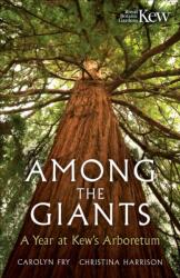 Among the Giants (ISBN: 9781856755672)
