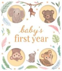 Baby's First Year (ISBN: 9781837956012)