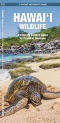 Hawai'i Wildlife (ISBN: 9781620056424)