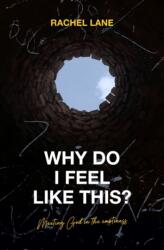 Why Do I Feel Like This? (ISBN: 9781527106178)