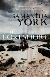 The Foreshore (ISBN: 9781784633561)