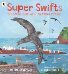 Super Swifts: The Small Bird With Amazing Powers (ISBN: 9781529523690)