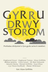 Gyrru drwy Storom (ISBN: 9781784611439)