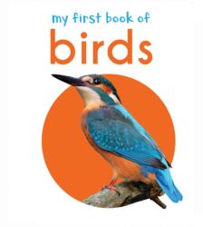 My First Book of Birds (ISBN: 9789386538475)