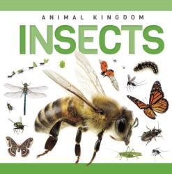 Insects (ISBN: 9781952455315)