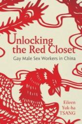 Unlocking the Red Closet (ISBN: 9781479821228)