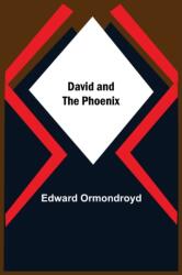 David And The Phoenix (ISBN: 9789354593758)