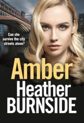 Amber (ISBN: 9781800246072)
