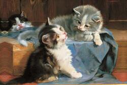 Memo Block: Kittens (ISBN: 9780754831914)
