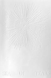 Algues Maudites, a Sea of Tears (ISBN: 9782493509086)