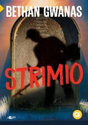 Cyfres Amdani: Strimio (ISBN: 9781800997011)