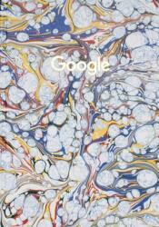 Google, volume 2 (ISBN: 9782365680899)