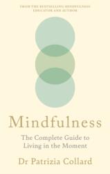 Mindfulness (ISBN: 9781841816272)