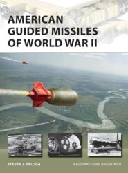 American Guided Missiles of World War II (ISBN: 9781472839268)