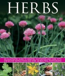 Herbs (ISBN: 9781780193083)