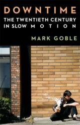Downtime (ISBN: 9780231219167)
