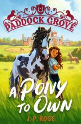 Paddock Grove: A Pony to Own (ISBN: 9781529522846)
