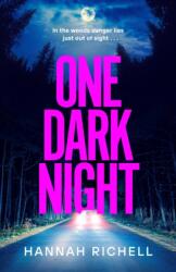 One Dark Night (ISBN: 9781398528017)