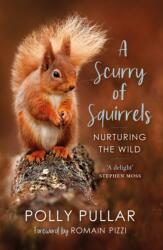 Scurry of Squirrels (ISBN: 9781780277042)