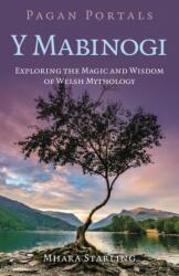 Pagan Portals Y Mabinogi (ISBN: 9781803416649)