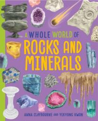 A Whole World of. . . : Rocks and Minerals (ISBN: 9781445188577)